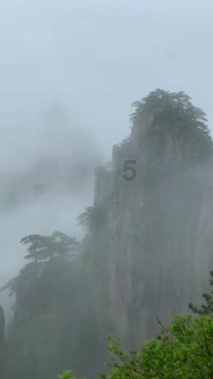 怪物大拼图